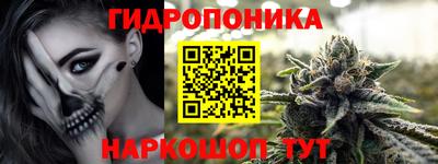 дмт Будённовск