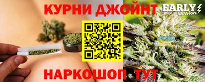 дмт Будённовск